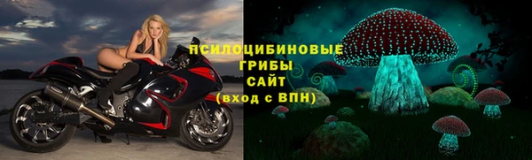 Альфа ПВП Нефтекумск