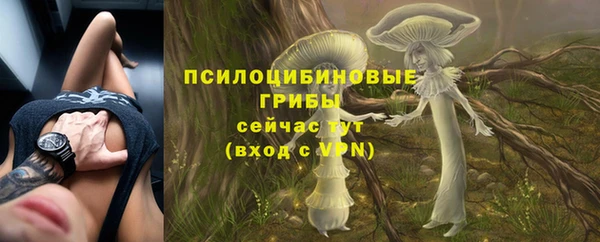 мдпв Нея