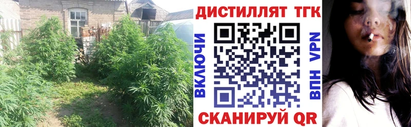 Дистиллят ТГК Wax  Северская 