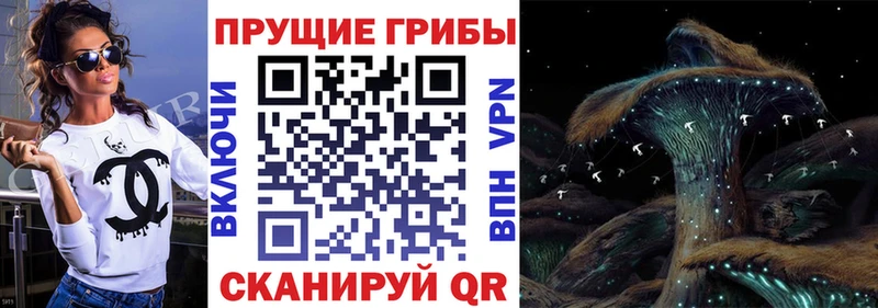 где купить наркоту  Северская  блэк спрут ссылка  Псилоцибиновые грибы прущие грибы 